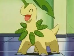 Bayleef feliz