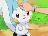 Pachirisu