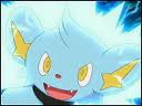 Shinx atacando