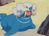 Walrein