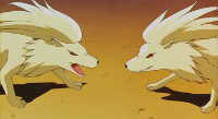 Ninetales vs. Ninetales