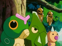Pokémon del bosque