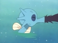 Horsea desechos