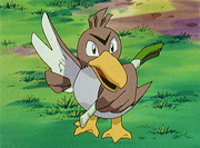 49 1