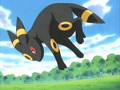 Umbreon