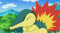 Cyndaquil2