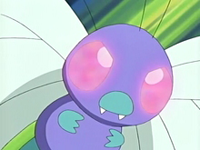 Butterfree2