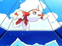 Goldeen de Vicky