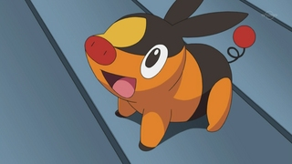 EP676 Tepig de Ash