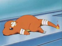 Charmander herido