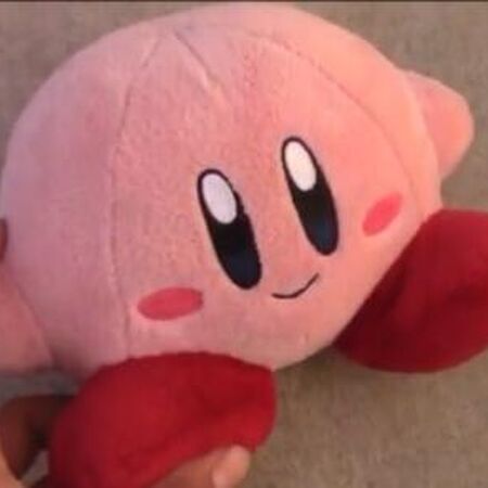 weird kirby plush