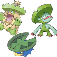 Pokemon Emerald Walkthrough Route 102 Pokemon Walkthroughs Wiki