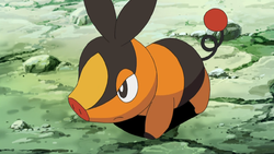 Tepig Pokémon