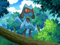Riolu