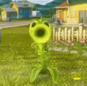 Stompin Peas