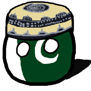 America S Great Pakistani Vacation Country Balls