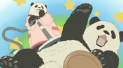 SuckingPanda