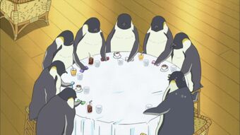 Penko Polar Bear Cafe Fandom