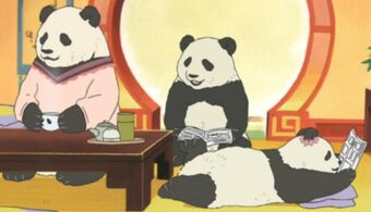 Panda S Family Polar Bear Cafe Fandom