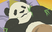 PandaEatingBamboo