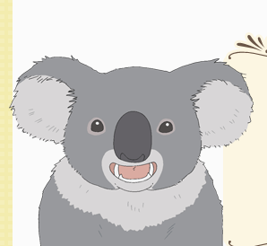 Koala Polar Bear Cafe Fandom