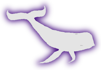 Whale lusus