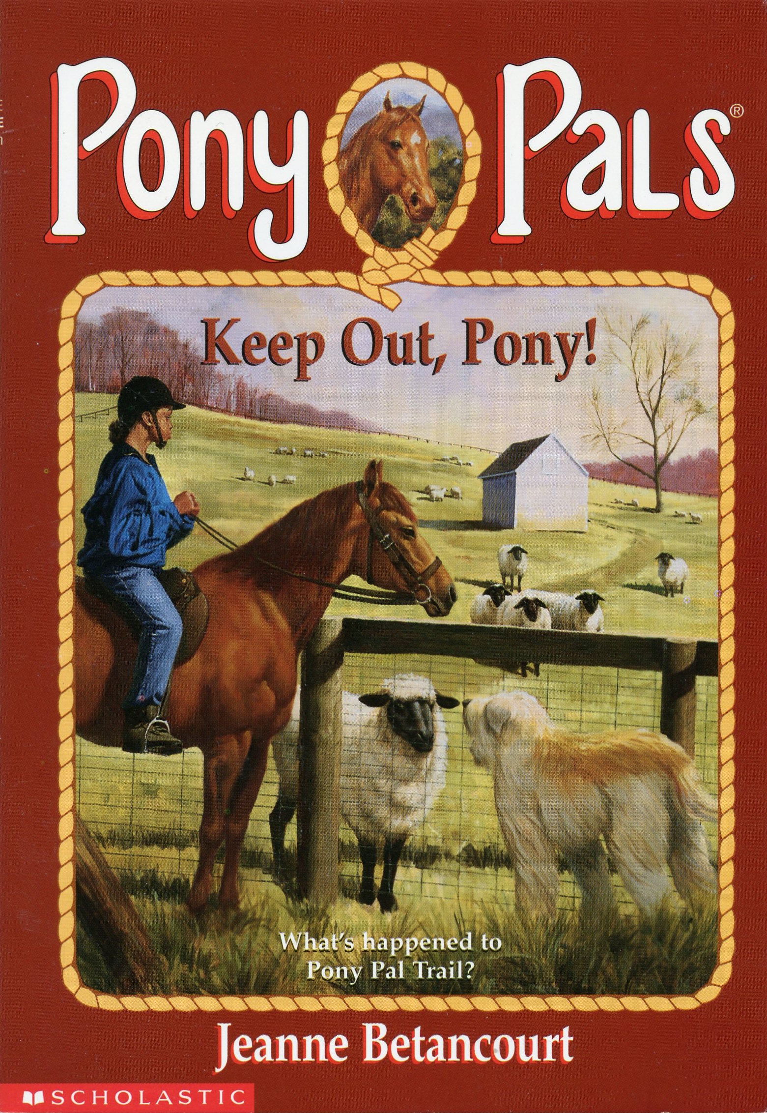 Keep Out Pony Pony Pals By Jeanne Betancourt Wiki Fandom