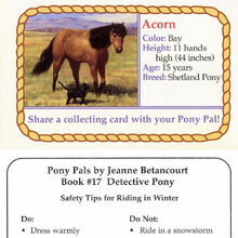 Detective Pony Pony Pals By Jeanne Betancourt Wiki Fandom