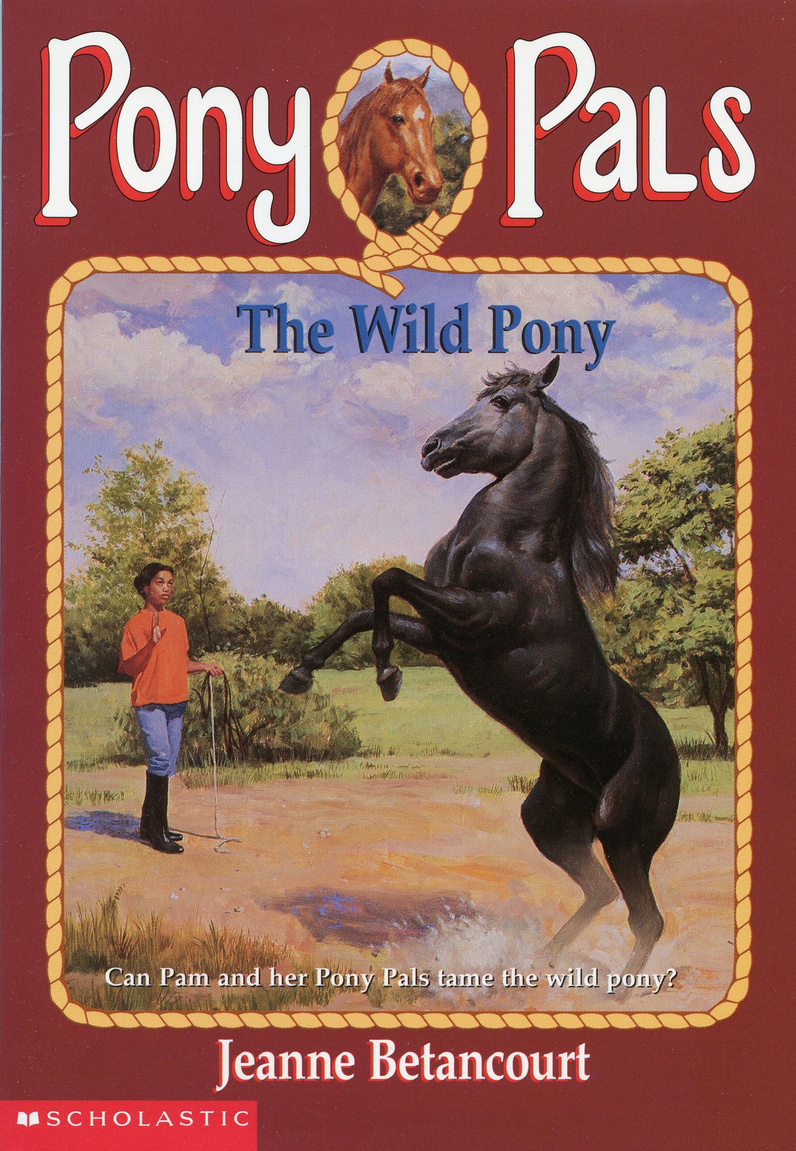 The Wild Pony Pony Pals By Jeanne Betancourt Wiki Fandom