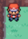 Hidden Item tuft