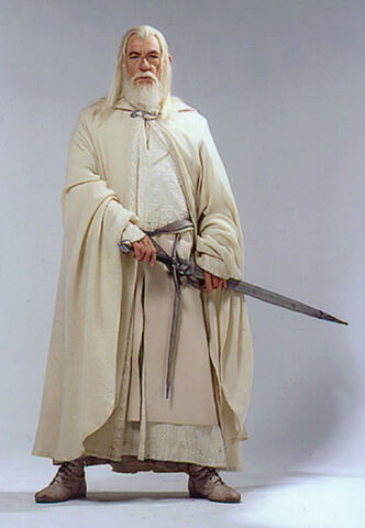 Gandalf | Pooh's Adventures Wiki | FANDOM powered by Wikia