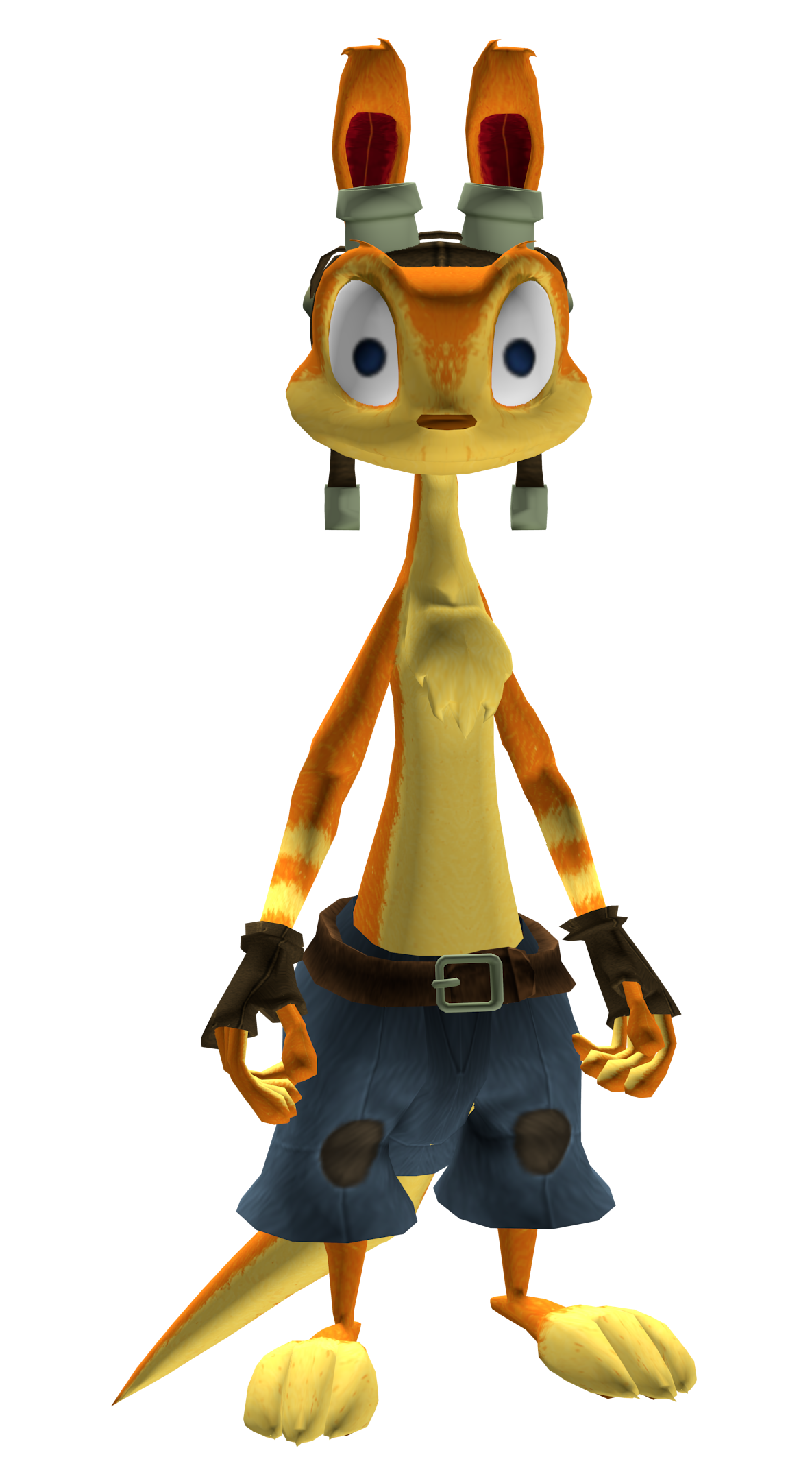 What Animal Is Daxter | Peatix