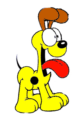 odie teddy