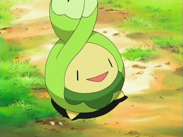Image result for budew
