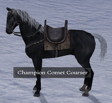 Champion Comet Courser