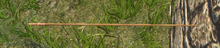Old Empire Hastae Ingame