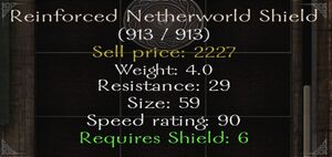 Reinforced-netherworld-shield