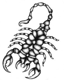 Scorpion