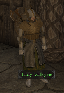 Lady Valkyrie
