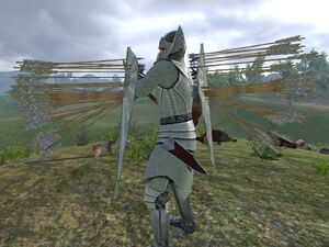 Shields