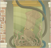 Squid