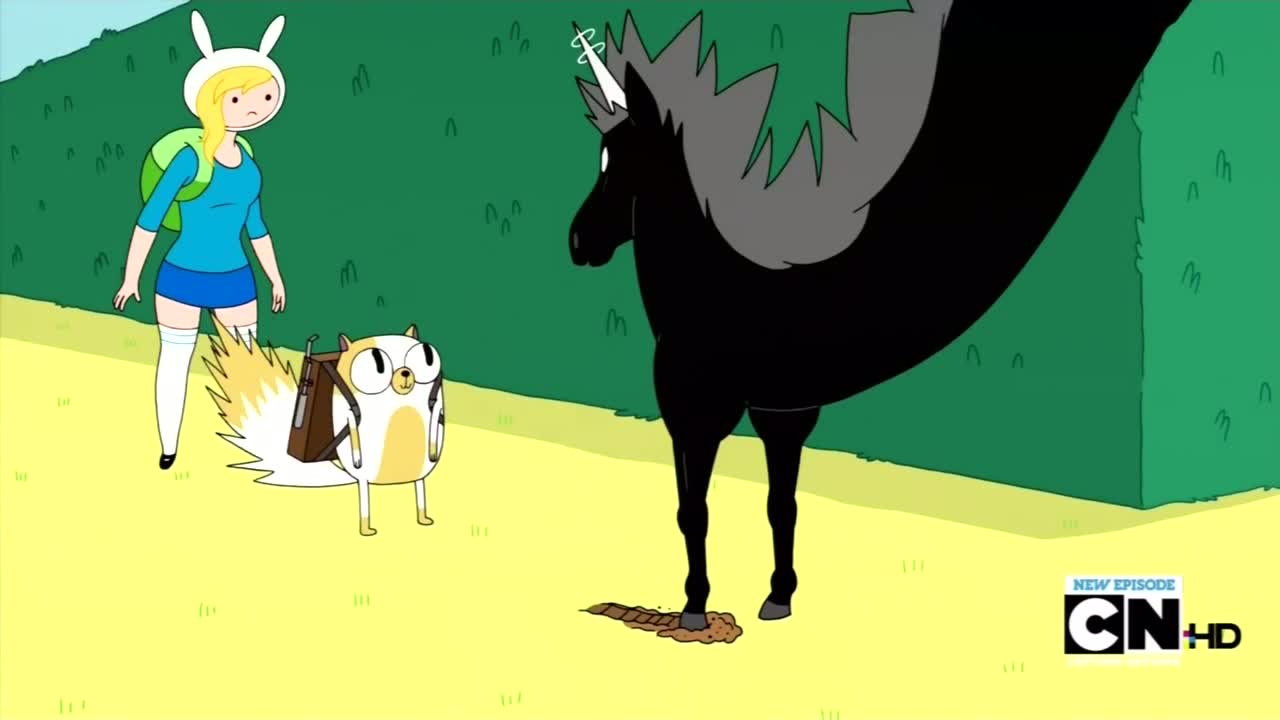 Fionna I Cake Pora Na Przygode Wiki Fandom