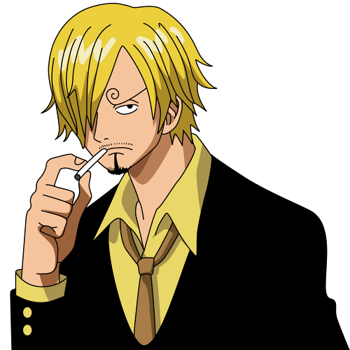 Image Sanji Portal Breach Wiki