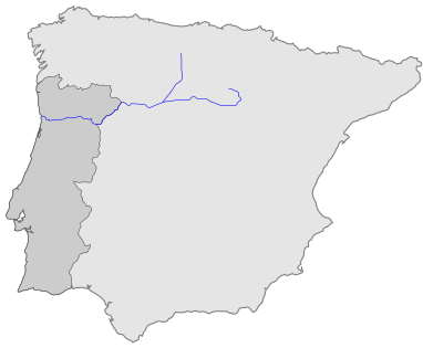 Rio Douro Wiki Portugal Fandom
