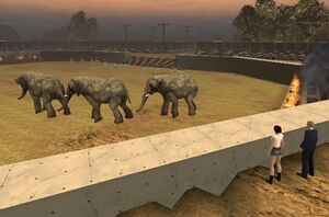 ElephantRanch
