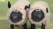 ParsleyandSage