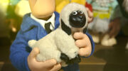 PostmanPatandtheSpringLamb26