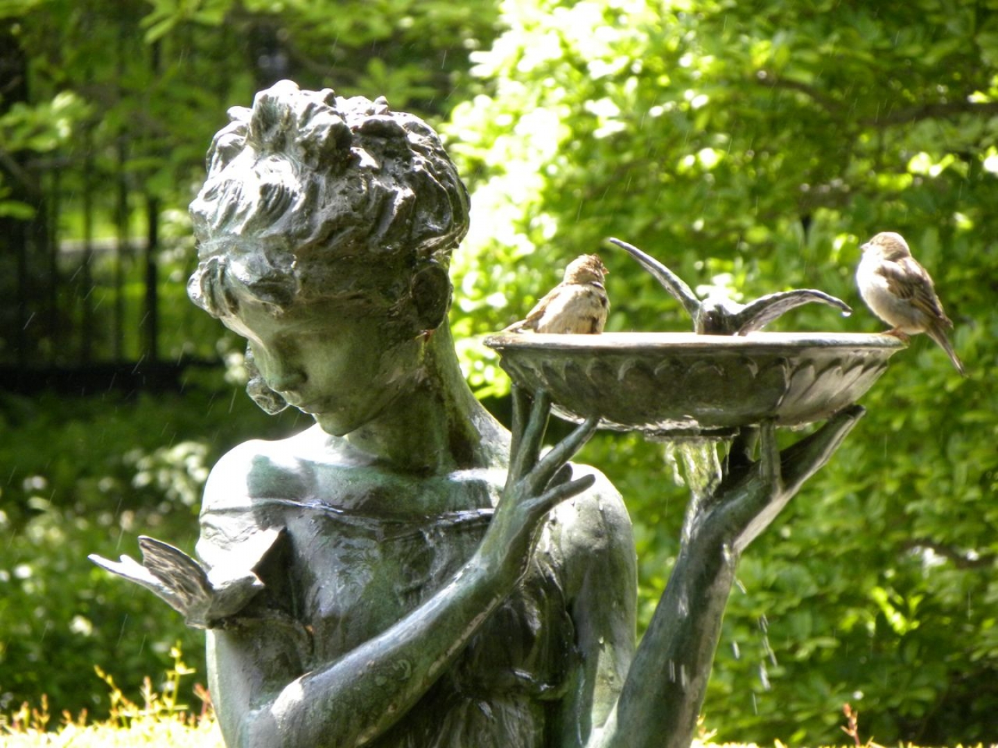 Image 49113 Garden Statue Beautiful Girl And Little Birds 1440x900 49113 Garden Statue Beautiful Girl And Little Birds 1440x900 Jpg