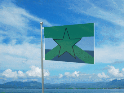 U.I.C. Flag 2