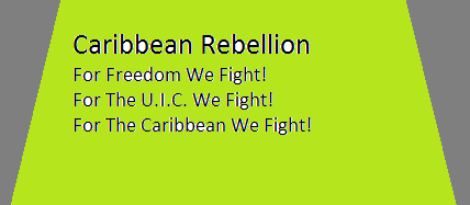 Caribbean Rebellion Flag